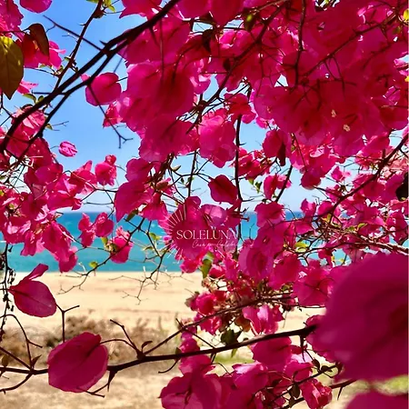公寓 Soleluna Marina di Strongoli